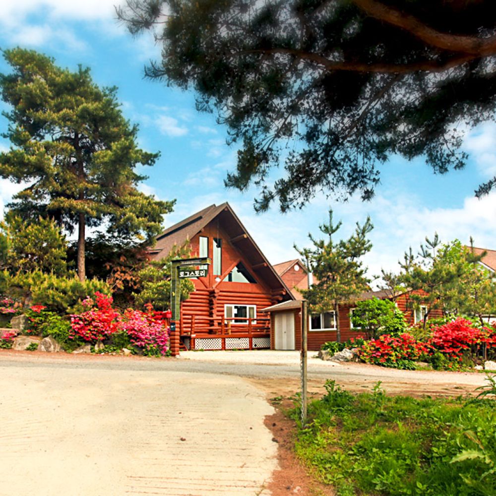 주간전경