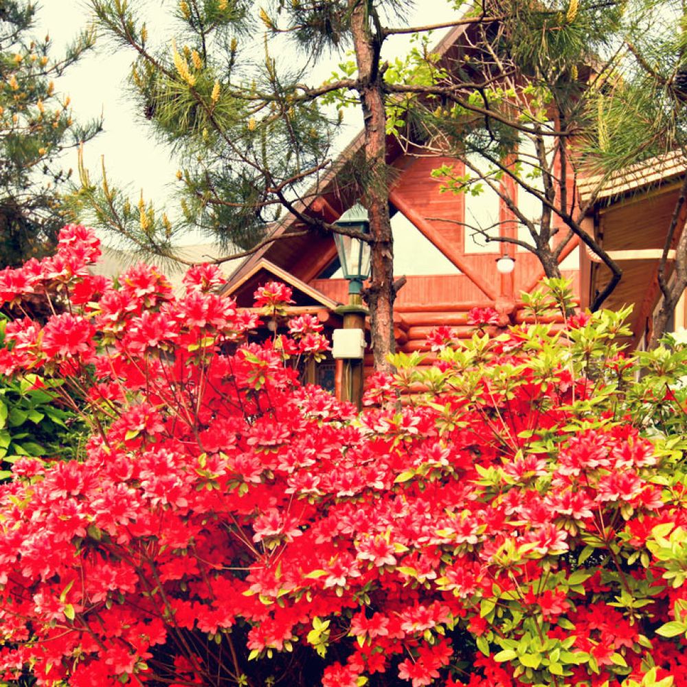 주변전경